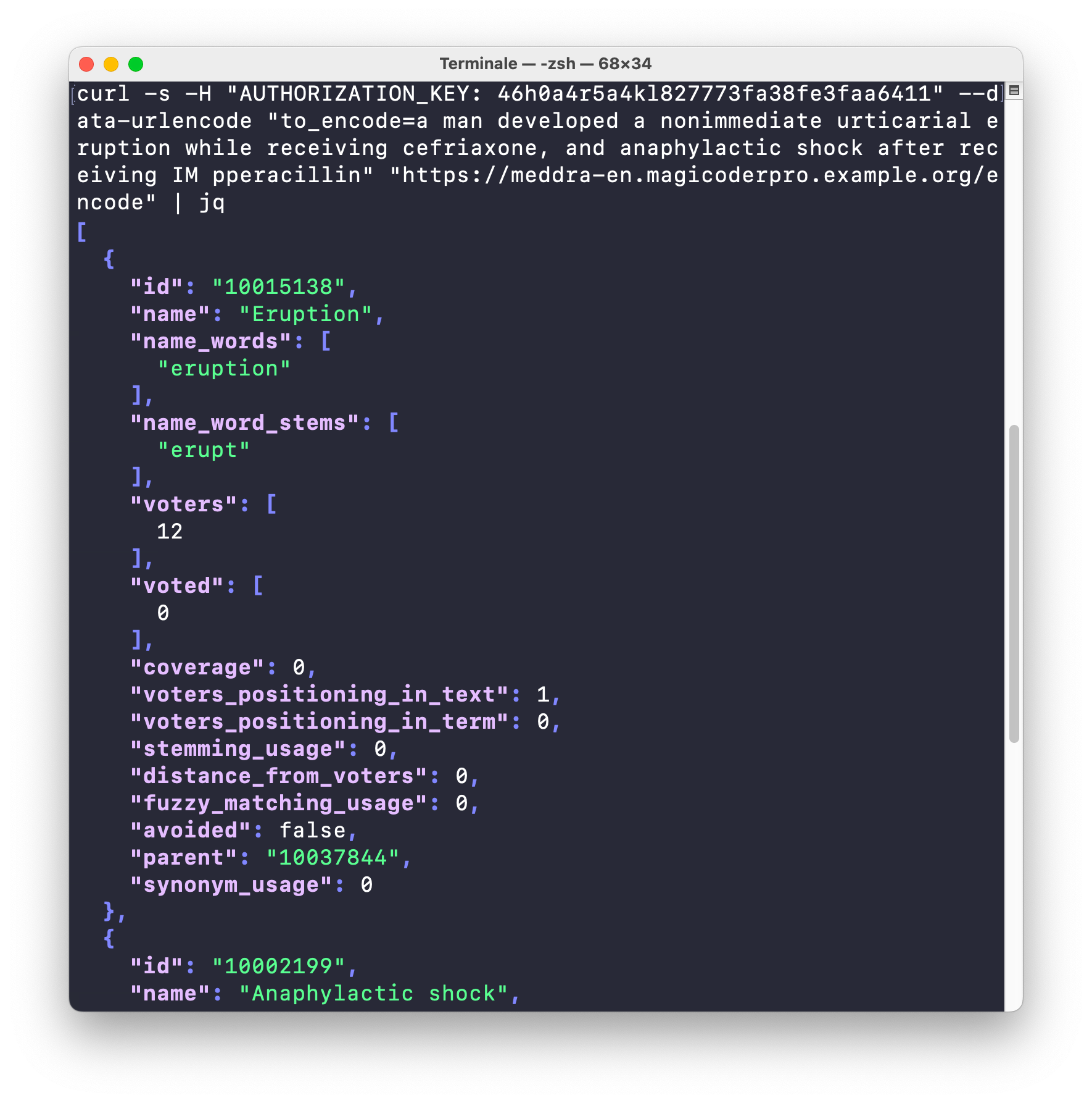 MagiCoder Pro API call